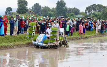 यन्त्रमा चढेर धान रोप्दै मनाए कृषि मन्त्रीले राष्ट्रिय धान दिवस