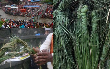 कुशे औँसी (गोकर्णे औँसी) र पितृ सम्मान दिवस