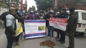 गैंडा मृत्यु प्रकरण : घटनाको छानबिन गर्न कार्यदल गठन, कार्यदलले १० दिनमा प्रतिवेदन दिने