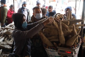 माघे संक्रान्ति नजिकिएसँगै बजारमा तरुल (फोटो फिचर)